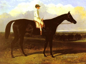 ジョン・フレデリック・ヘリング・シニア Painting - ジョナサン ワイルド ヘリング シニア ジョン フレデリックの馬